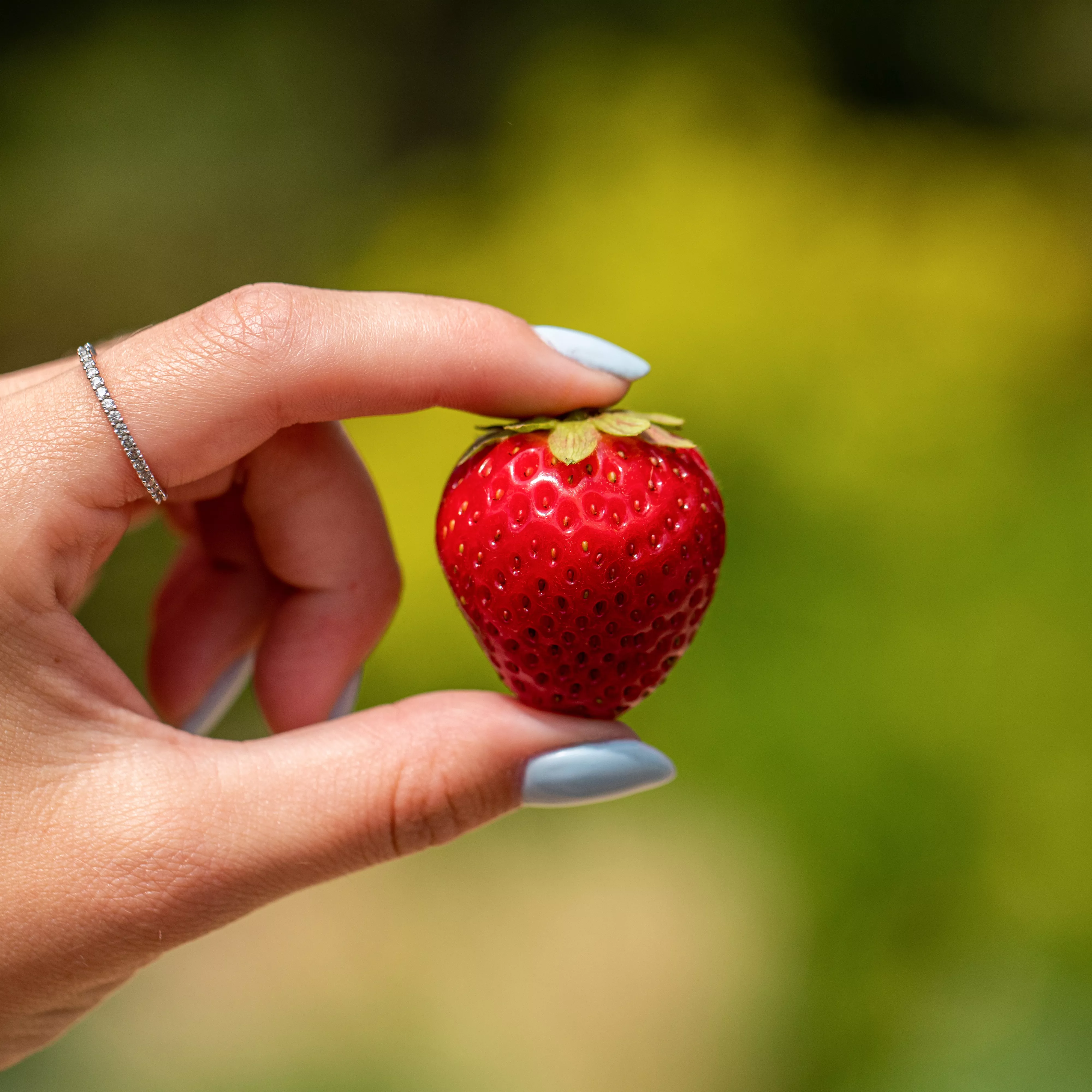 Erdbeeren schneiden