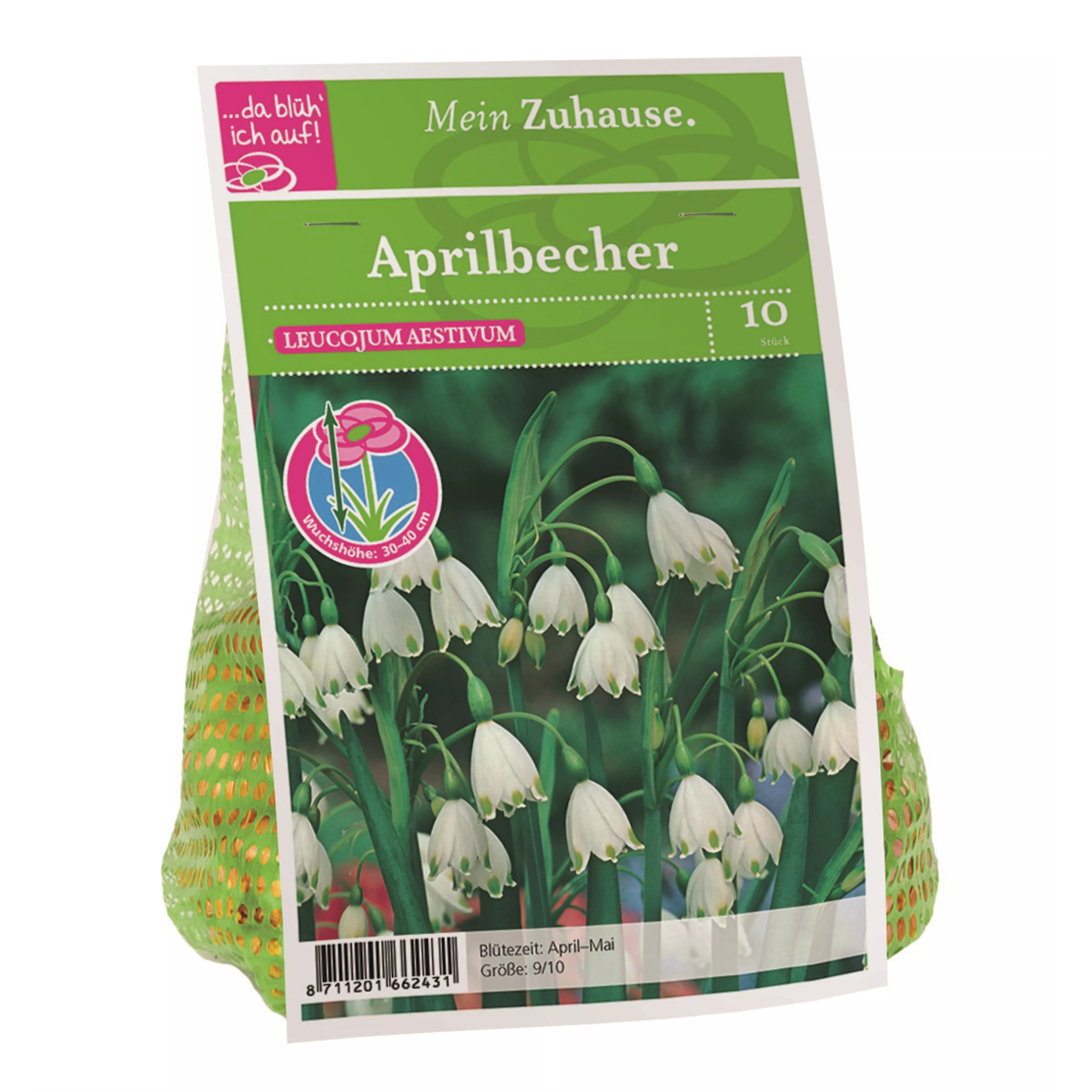 Blumenzwiebel Aprilbecher weiß