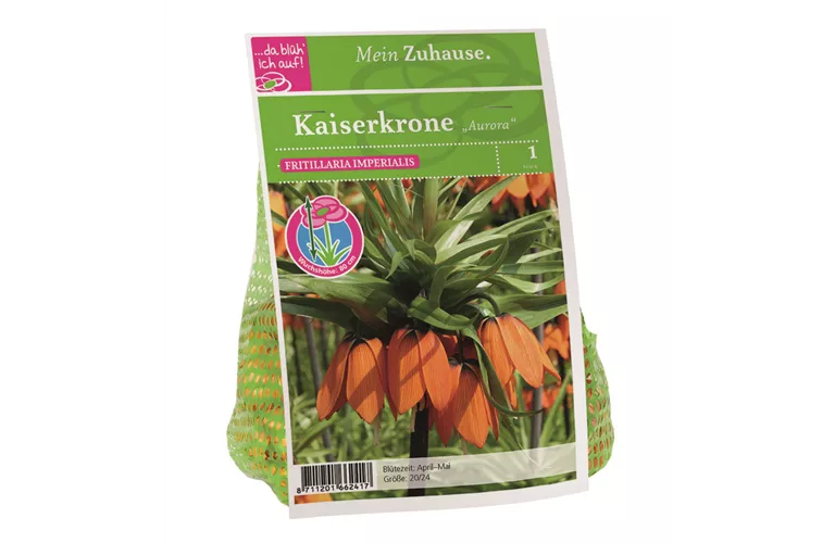 Blumenzwiebel Kaiserkrone orange