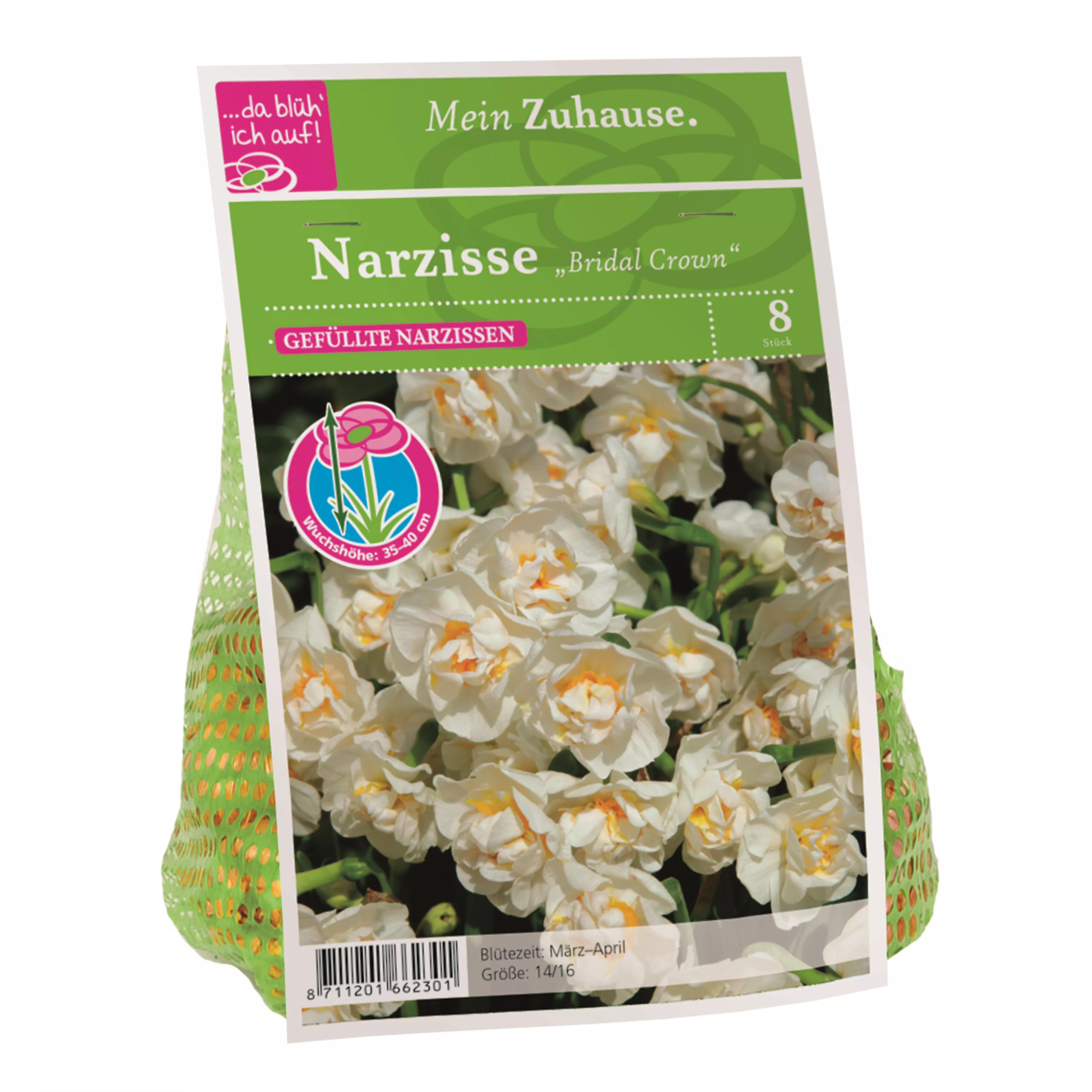 Blumenzwiebel Narzisse 'Bridal Crown'