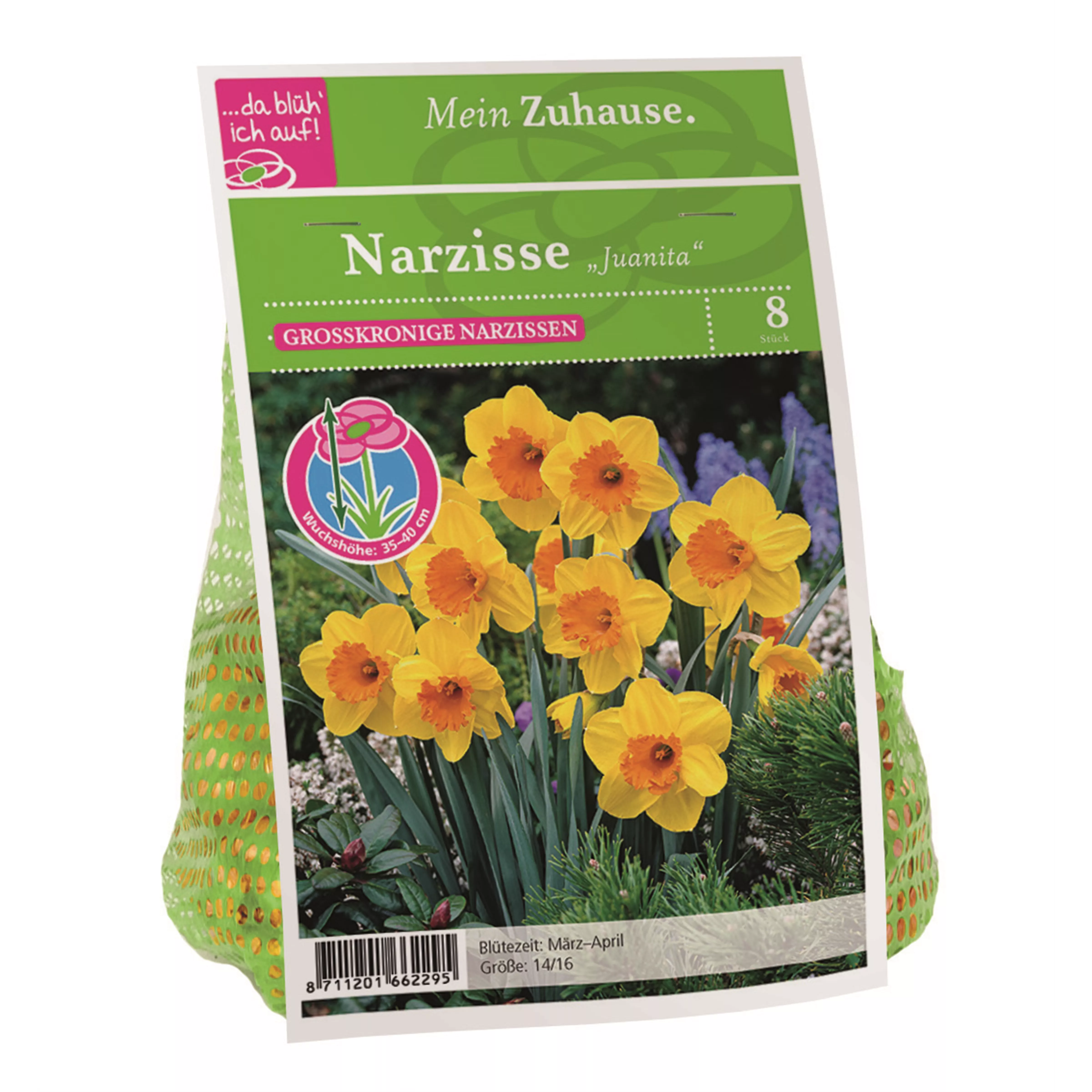 Blumenzwiebel Narzisse 'Juanita'