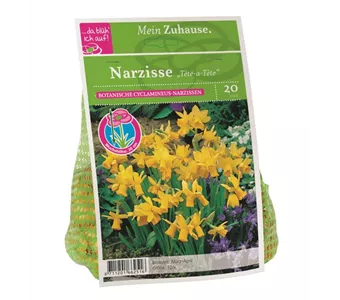 Blumenzwiebel Narzisse Tête à Tête