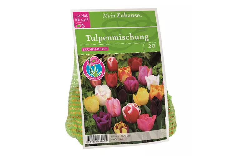 Blumenzwiebel Triumph Tulpen Mischung